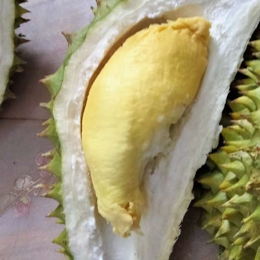 南宁越南干尧榴莲4到9斤