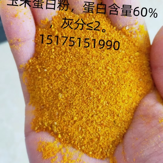 石家庄DDGS，玉米蛋白粉。玉米胚芽油，玉米皮。