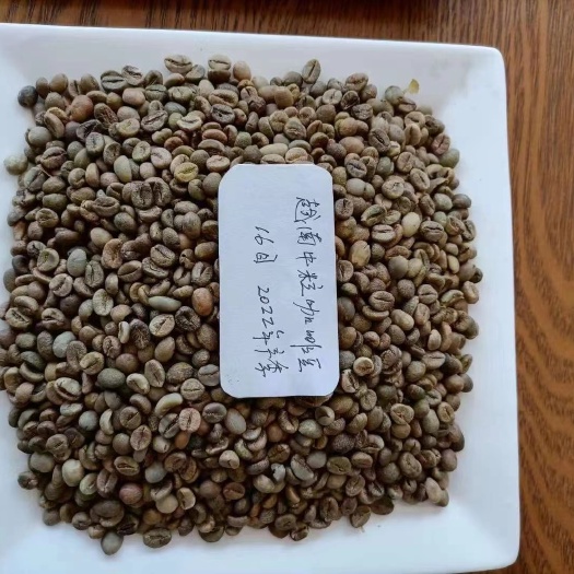 河口县罗布斯塔咖啡豆