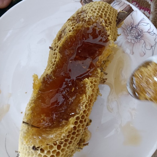 崇左土蜂蜜