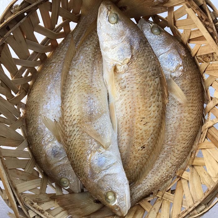 潮汕特产汫洲打冷红鱼鱼饭每天现煮鲜甜即食海鲜