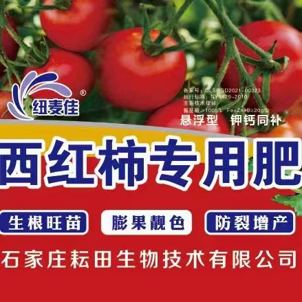 西红柿专用肥