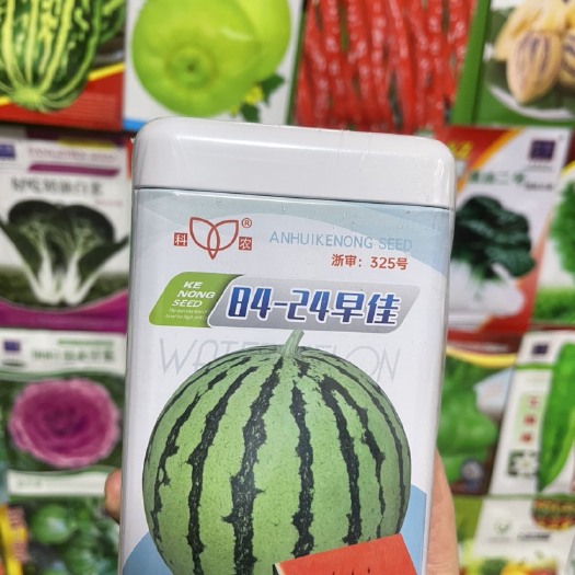 冰糖麒麟西瓜种子麒麟西瓜早佳8424西瓜种籽种四季春季甜西瓜