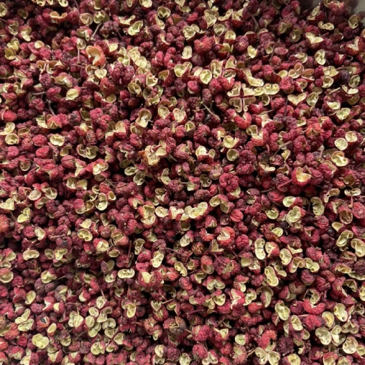 成都2024新货大红袍花椒四川茂汶花椒花椒500g干花椒食用特麻