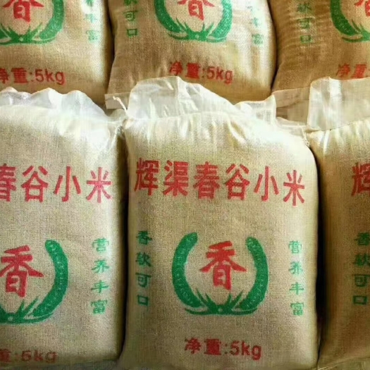 安丘市山东安丘特产辉渠小米，产地直销 24小时内发货量大从优
