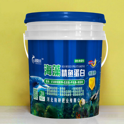 石家庄海藻精鱼蛋白