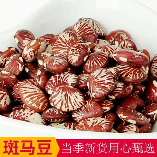 临沂斑马豆花芸豆杂粮豆类小颗粒荷包豆24.75kg