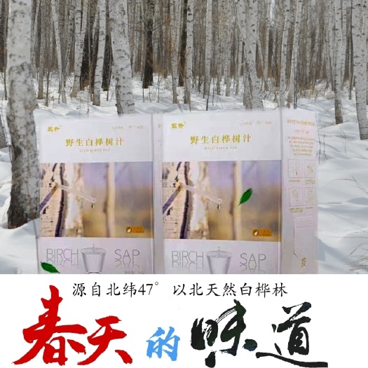 伊春特产野生白桦树汁原液纯植物草本饮品2.5升/箱