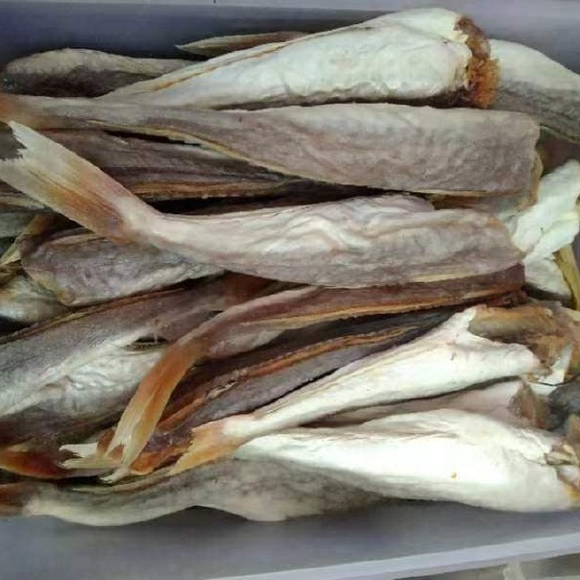 小角鱼