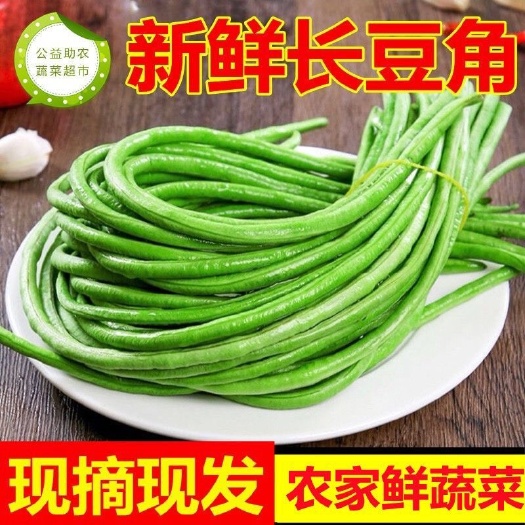 现摘现发长豆角新鲜豇豆当季时令农家蔬菜豆角酸原材料批发包邮