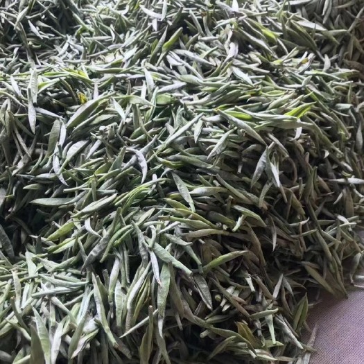 景谷县云南白毫银针，白茶