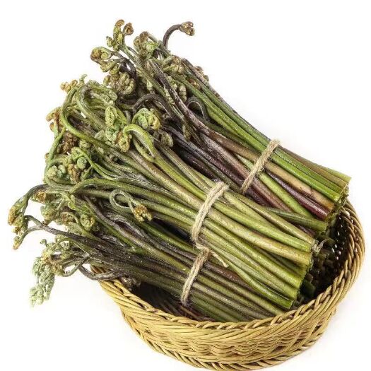 秀山【现在】新鲜蕨菜现摘现发重庆野生蕨菜龙爪菜甜蕨菜鲜蕨菜