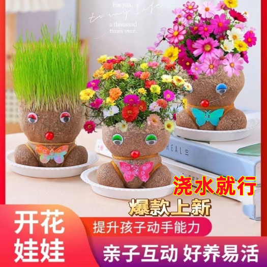 创意草头娃娃小植物盆栽室内桌面迷你好养青草可爱圣诞节礼物