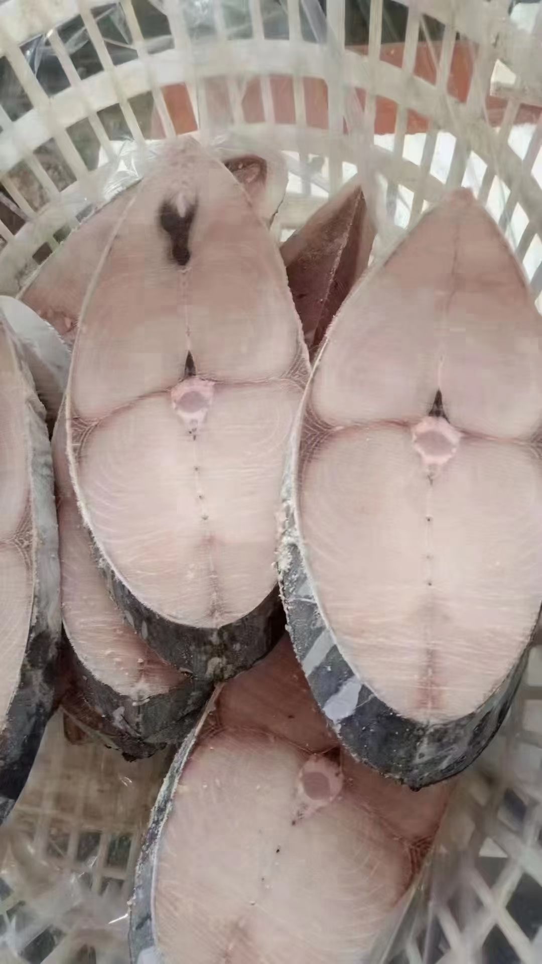马胶鱼、马胶肉片、钓胶鱼肉中段单片真空包装、海鱼肉质厚实鲜美