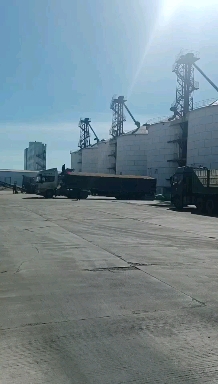 黄玉米粒