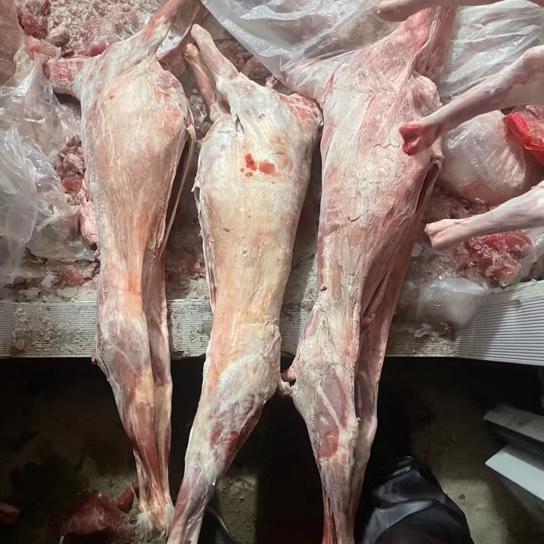 高品质无皮烤全羊整只白条羊羔羊商用不注水冷冻带骨羊肉