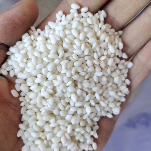 周口新圆糯米  五常糯米 粘度好 质量好 价格美丽 量大从优。。