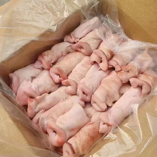临沂猪拱嘴