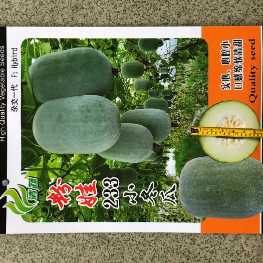 英德市粉皮冬瓜种子粉娃233小冬瓜春秋季播白皮小冬瓜种籽200粒