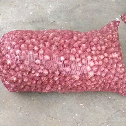 钟祥市独头蒜