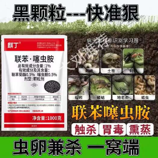 长沙1%联苯噻虫胺地下害虫杀虫剂韭蛆根蛆地蛆地老虎金针虫蛴螬