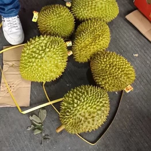 广州干尧鲜果 价低