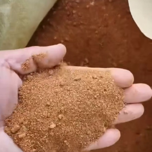 石家庄甜菜粕