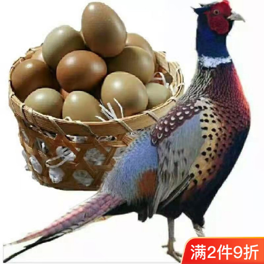 七彩山鸡蛋一件即发  60枚起1008枚 草原放养现捡鲜蛋