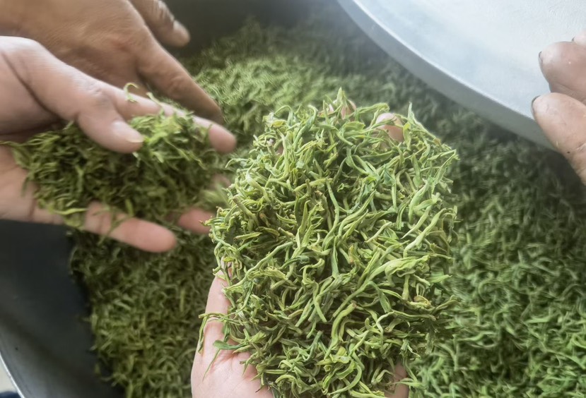 安康富硒茶，绞股蓝茶，清香四溢，回味香甜。