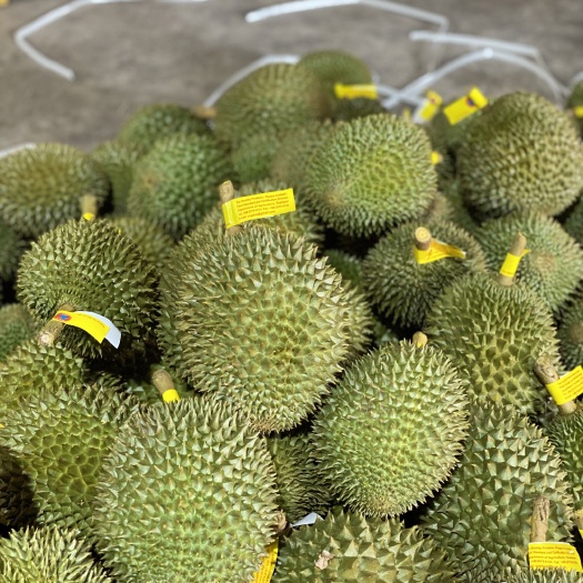 昆明泰国.托曼尼榴莲
