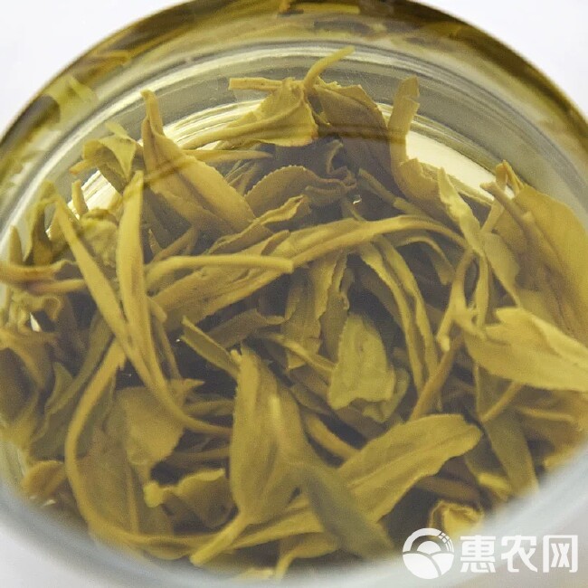 黄山绿茶炒青耐泡型茶叶茶汁香浓高山绿茶云雾茶银钩绿茶