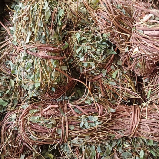 玉林中药材鸡骨草