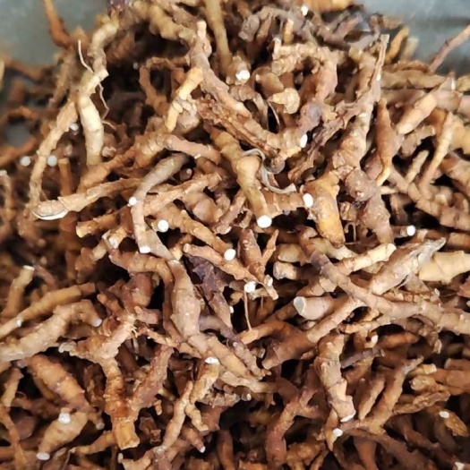 西安九接菖蒲，中药材九接菖蒲，品质保证