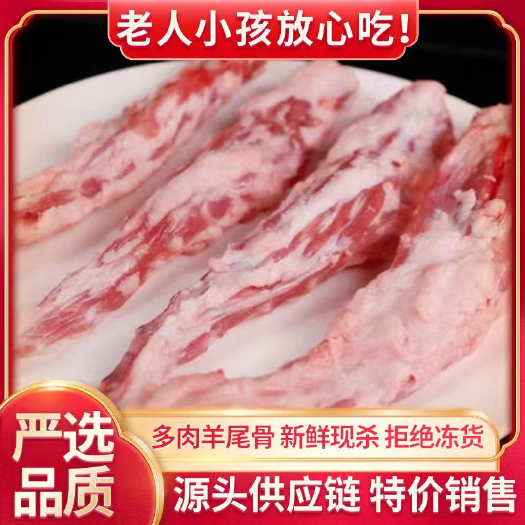菏泽羊尾尖羊尾骨羊尾巴清真滩羊清炖烧烤红烧