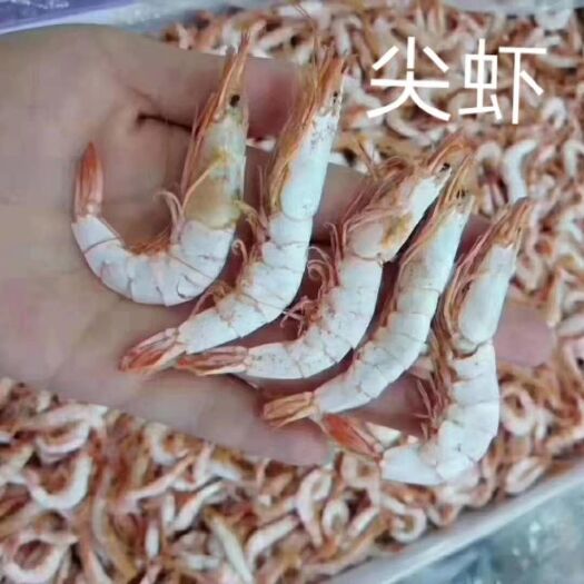 陆丰市中国南海尖虾虾干没剥壳即食下酒菜煲粥补钙营养新鲜虾干无冰