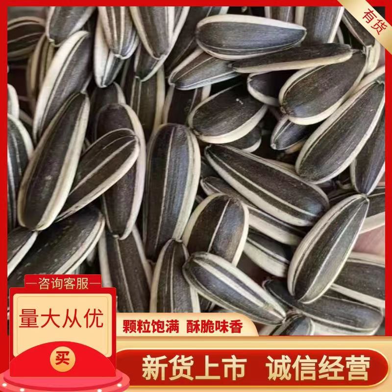 杭锦后旗葵瓜子363生瓜子精品大颗粒休闲食品