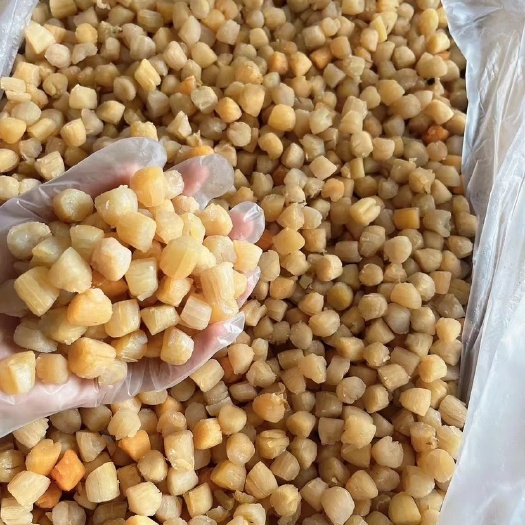 阳西县300头大瑶柱，一斤一罐！煮粥、煲汤煮面放上几颗