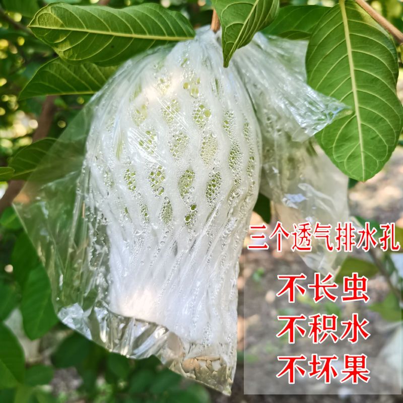 番石榴套袋水果保护网套树上防虫专用袋泡沫网袋有排水孔一体套袋