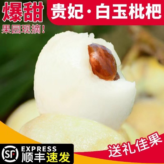 云霄县白玉枇杷，产地现摘现发，顺丰包邮