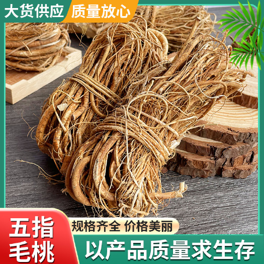 苍梧县五指毛桃批发干货五指牛奶煲汤泡酒