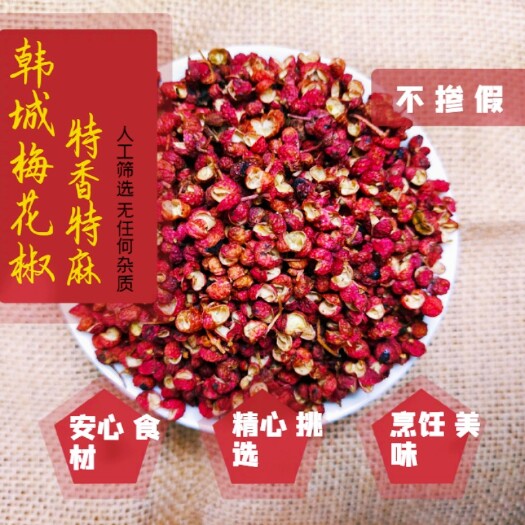玉林陕西汉源韩城大红袍花椒特麻特香源头货源增麻增香