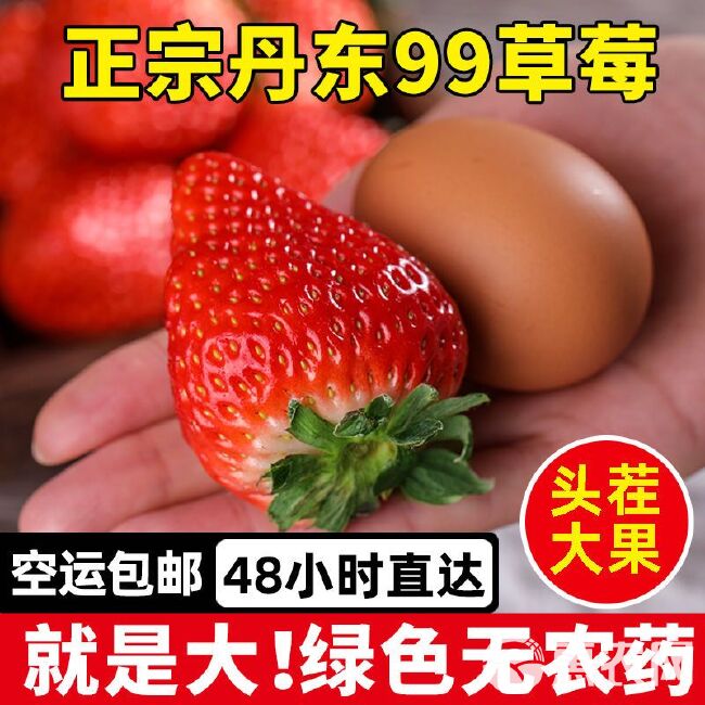 [顺丰速运]草莓  丹东99红颜新鲜草莓特大整箱一件代发
