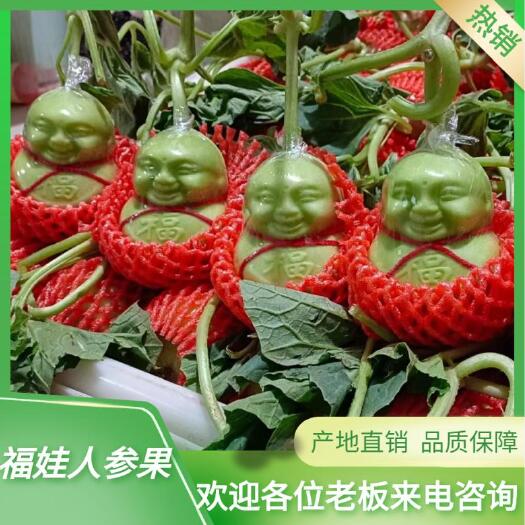 人参果，福娃大量批发价格优惠