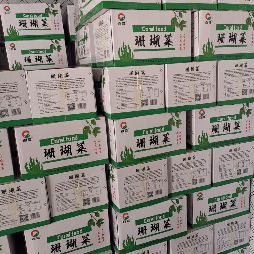 长沙珊瑚菜