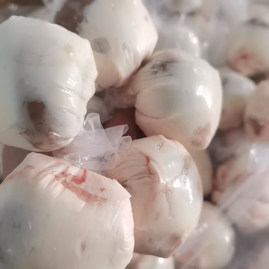 原油羊腰，5-6个一斤，草地羊腰