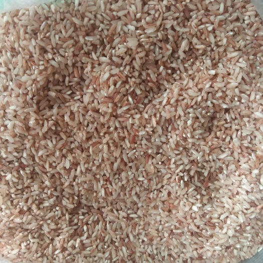 盘州市贵州高红米，不抛光，不打腊。