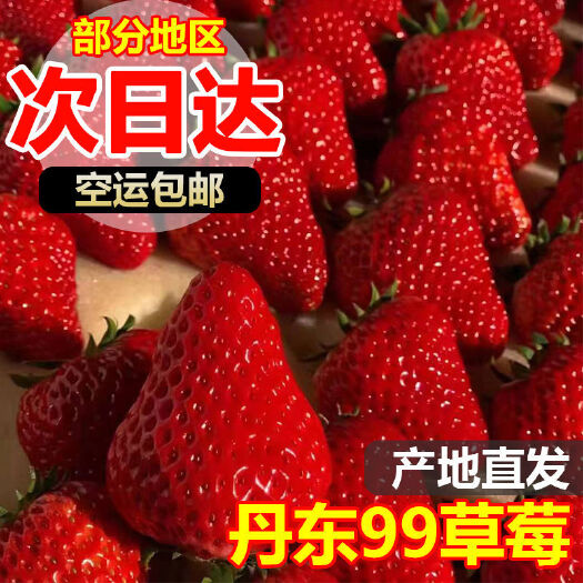 丹东[顺丰速运]草莓  丹东99红颜新鲜草莓特大整箱一件代发