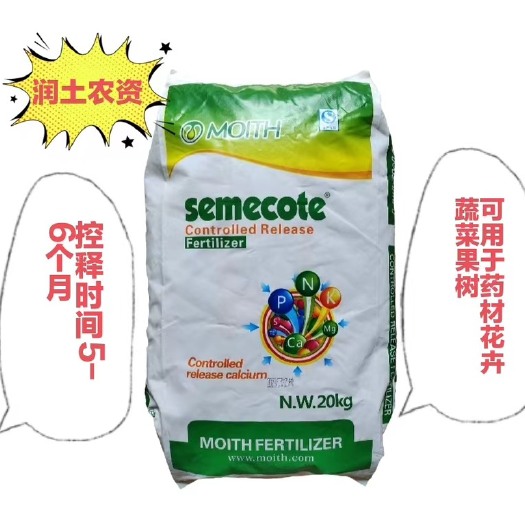茂施