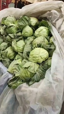 邯郸中甘系列