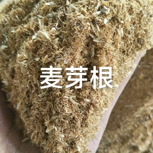 巨鹿县麦芽根适用于反刍料